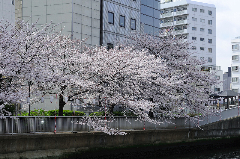 image0443