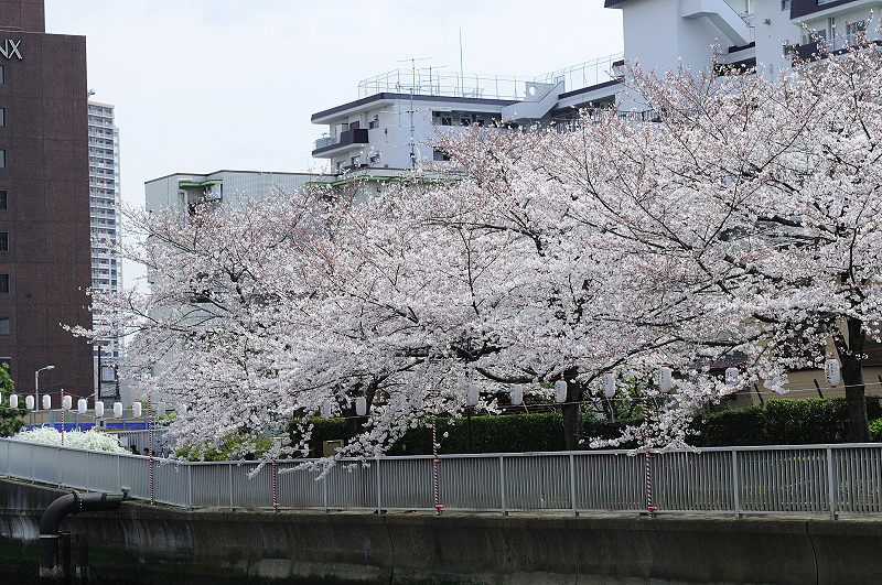 image0447