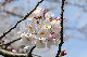 image0132