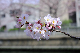 image0138