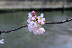 image0139