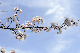 image0145