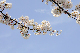 image0150