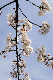 image0151