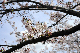 image0154
