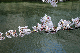 image0163