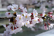 image0164