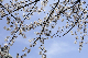 image0175