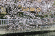 image0180