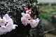 image0182