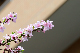 image0191