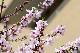 image0192