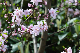 image0193