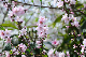 image0194