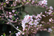 image0196