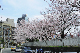 image0197