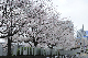image0199