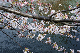 image0221