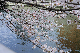 image0223