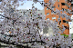 image0224