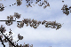 image0226