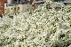 image0231