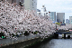 image0234