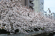 image0235