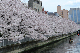 image0243