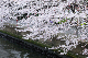 image0248