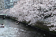 image0252