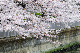 image0255