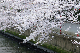 image0257
