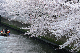 image0258