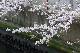 image0261