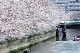 image0263