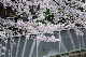 image0265