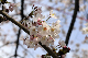 image0267