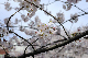 image0269