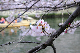 image0271