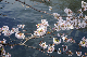 image0272