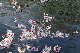 image0273