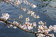 image0274