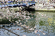 image0275