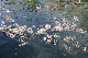 image0276