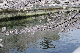 image0279