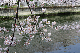 image0280