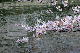 image0281