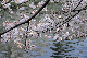 image0282