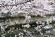 image0283